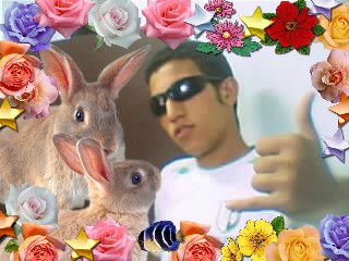 ana hada fach kont f la france